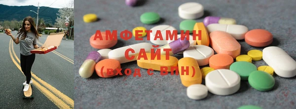 индика Бородино