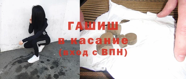 индика Бородино
