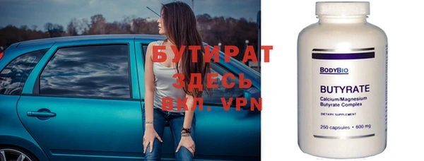 индика Бородино