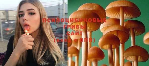 индика Бородино