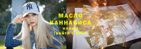 индика Бородино