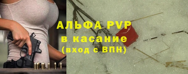 индика Бородино